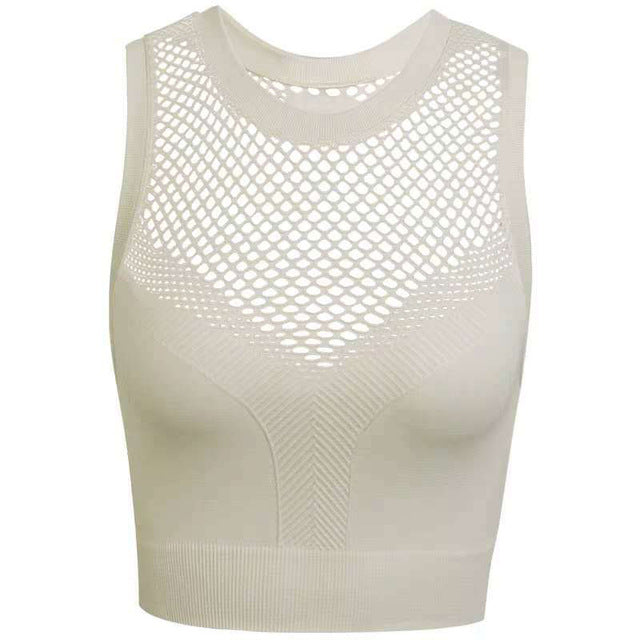 Women Vital Ombre Seamless Sleeveless Cropped Top